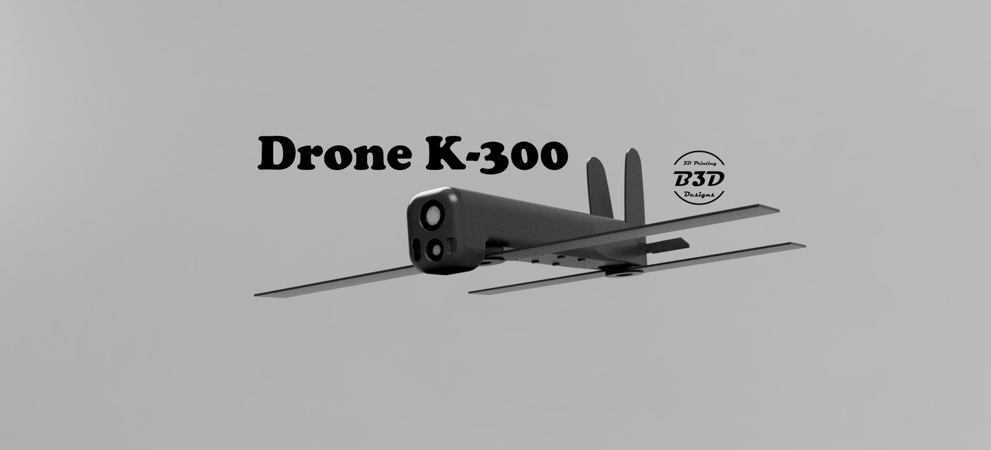 Drone FACTICE SwitchBlade 300 - BENen3D