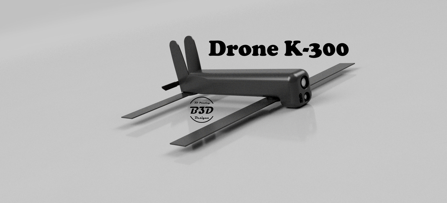 Drone FACTICE SwitchBlade 300 - BENen3D
